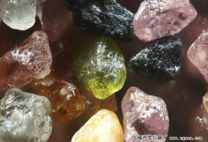 顯微鏡下的馬薩諸塞州普拉姆島沙粒