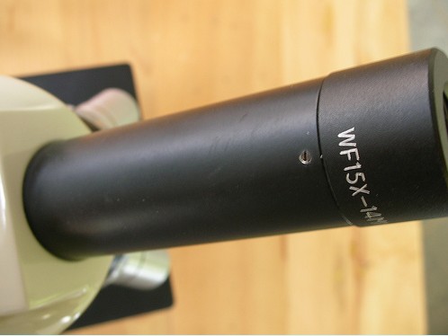 �Ϻ���W�x���S