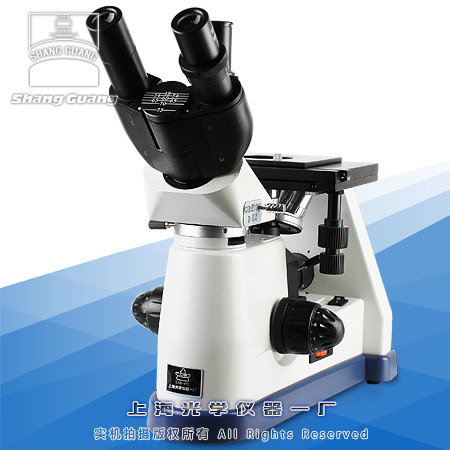 ���ý����@΢�R5XB